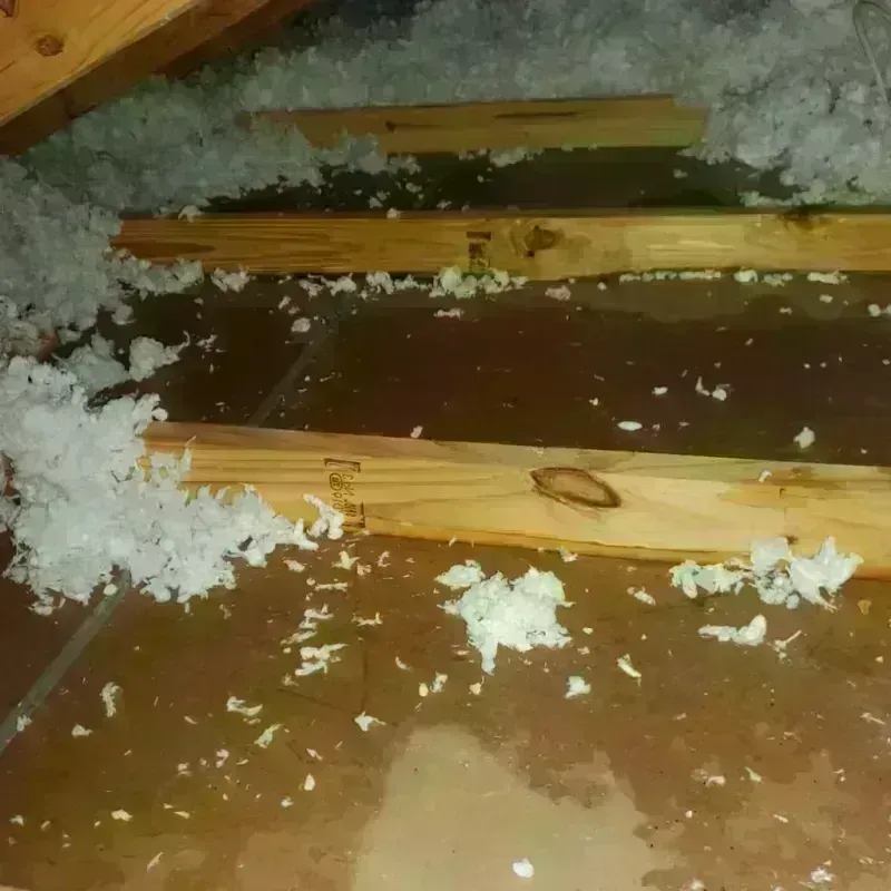 Attic Water Damage in Santa Cruz, CA