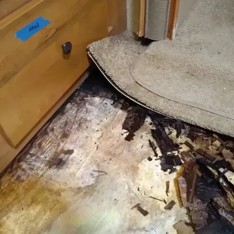 Best Wood Floor Water Damage Service in Santa Cruz, CA